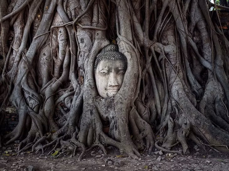 Ayutthaya anh 5
