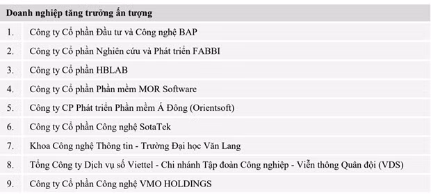 Vinh danh Top 10 doanh nghiep Cong nghe thong tin Viet Nam 2021 hinh anh 12