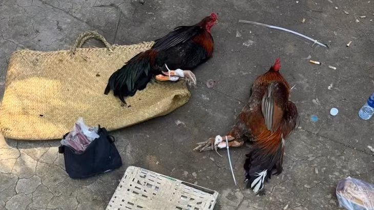 Tang vật tại hiện trường.