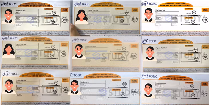 STUDY4 nhận được nhiều feedback tích cực về điểm số