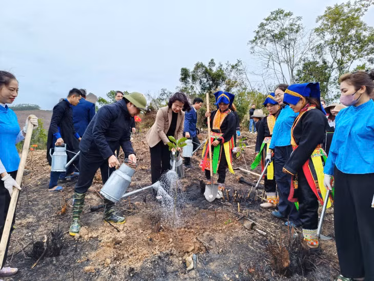 Lãnh đạo tỉnh và địa phương tham gia trồng 16ha rừng trên địa bàn 7 xã.