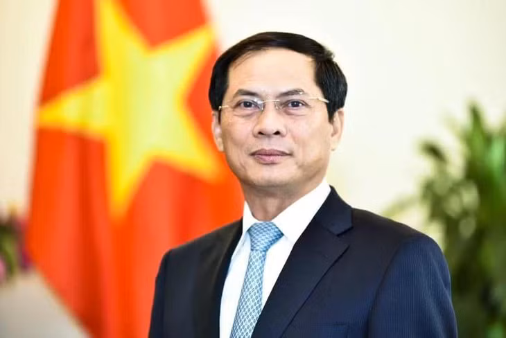 Phó Thủ tướng Chính phủ Bùi Thanh Sơn, Ủy viên Ban Thường vụ Đảng ủy Chính phủ. (Ảnh: VGP)