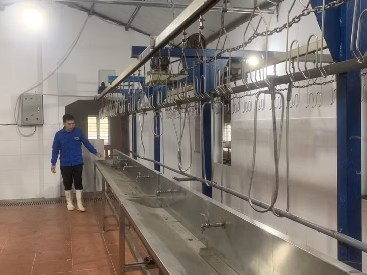 Anh Trần Đăng Hạnh đang tiến hành kiểm tra hệ thống làm gà và hút chân không của HTX Chăn nuôi và Tiêu thụ gà Tiên Yên.