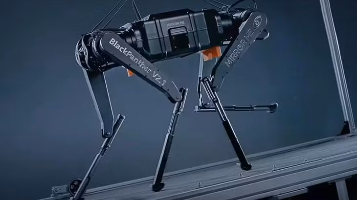 Robot có tên Black Panther. (Nguồn: livescience)