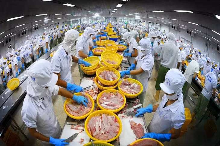Năm 2024, ước tính xuất siêu của Việt Nam với thị trường CPTPP lên tới 9,4 tỷ USD, tăng gấp đôi so với cùng kỳ. Ảnh: Hoàng Hưng