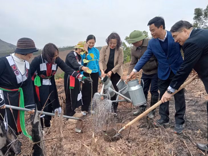 Lãnh đạo tỉnh và huyện Ba Chẽ cùng nhân dân trên địa bàn xã Thanh Sơn tham gia Tết trồng cây.