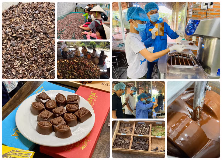 Nhờ hàm lượng cacao cao, sô cô la đen cung cấp nhiều magie, sắt... - Ảnh minh họa: TTO