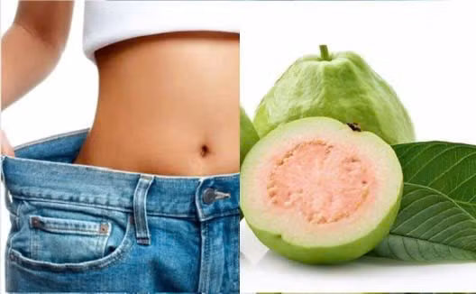 Sử dụng ổi và lá ổi giúp giảm cân sau Tết. Đồ họa: Hương Giang