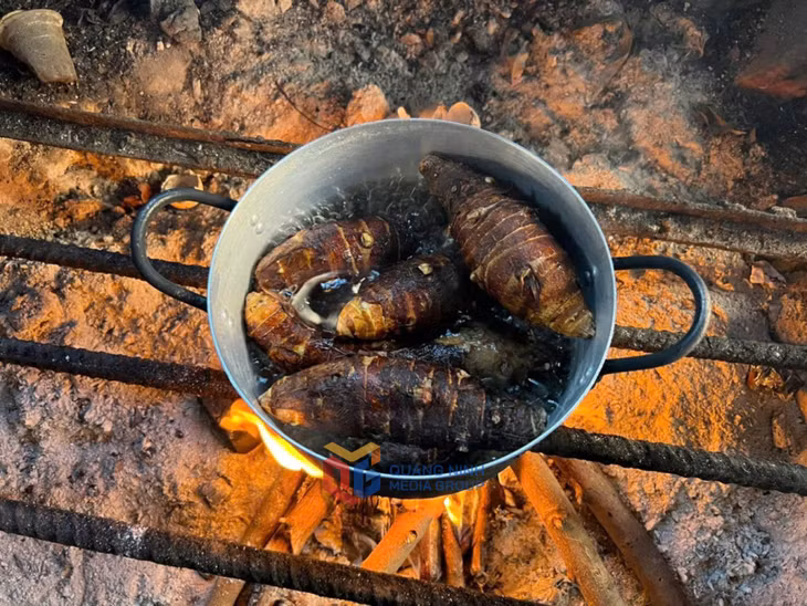 Khoai sọ nương là món ăn dân dã, gắn bó với người dân Đồng Sơn.