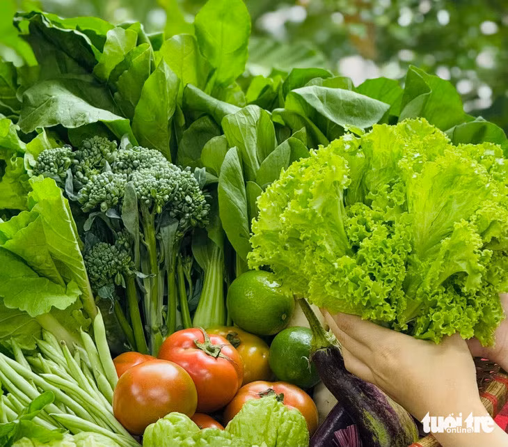 Nhiều loại rau, trái giàu vitamin và khoáng chất có tác dụng tăng đề kháng cho cơ thể - Ảnh: AN PHÚ