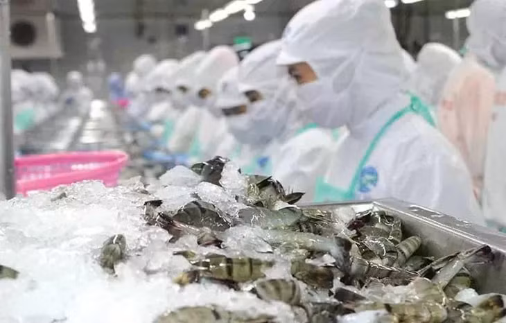 Tháng 1/2025, xuất khẩu thủy sản sang Trung Quốc tăng 80,8% ảnh 1