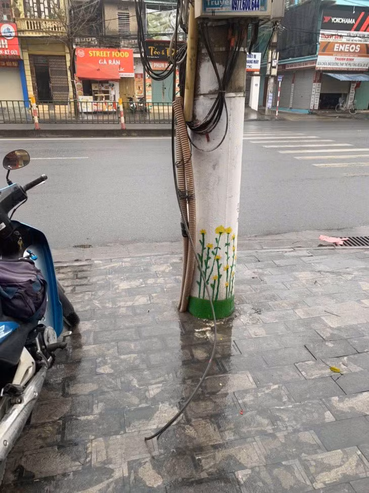 Điện lực tỉnh Ninh Bình cắt cáp truyền hình của SCTV tại 2 vị trí - Ảnh: VTV.VN