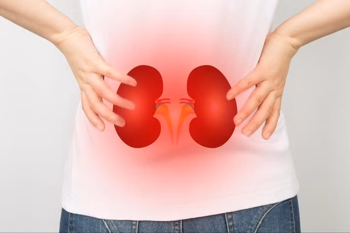 Bệnh thận có nhiều triệu chứng khác nhau. (Ảnh: Medfin)