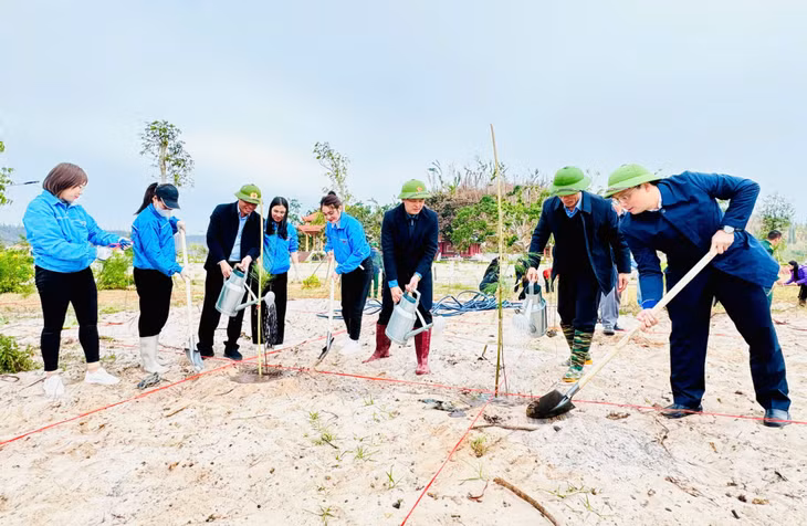 Đã có 3.000 cây phi lao được trồng tại lễ phát động Tết trồng cây Xuân Ất Tỵ tại xã Ngọc Vừng.