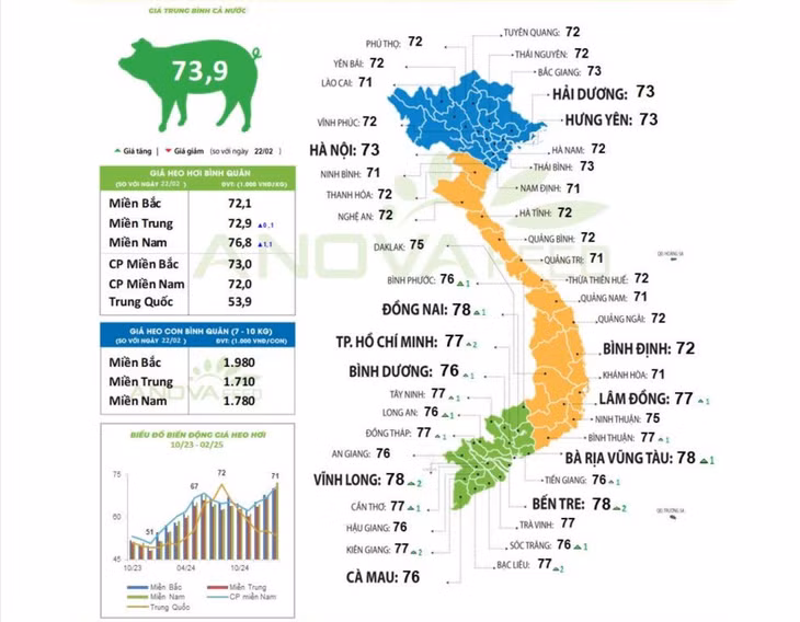 Cập nhật giá lợn toàn quốc ngày 24.2.2025. Nguồn: Anova Feed