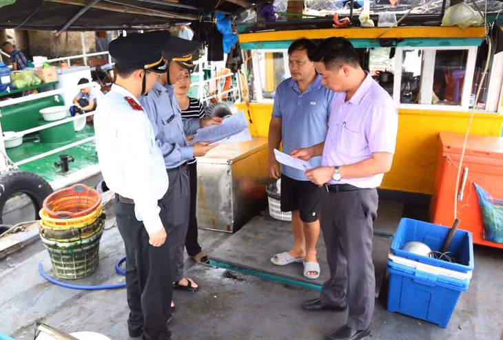Đoàn kiểm tra của Sở NN&PTNT kiểm tra các giấy tờ theo quy định đối với tàu cá hoạt động trên địa bàn Quảng Ninh (tháng 4/2024). Ảnh: Nguyễn Thanh