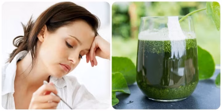 Người bị tiểu đường không nên uống nước rau má
