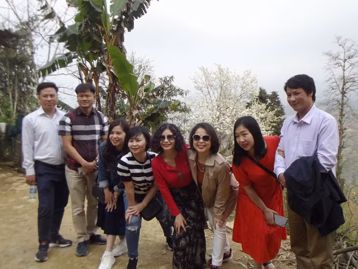 Khi nắng lên xua tan băng giá, hơi ấm của nắng xuân đã đánh thức nụ tầm xuân, hoa lê hé nụ và bắt đầu bung nở nhuộm sắc trắng tinh khôi vùng cao chào đón, gọi mời du khách đến với lễ hội hoa lê trắng biên cương Si Ma Cai