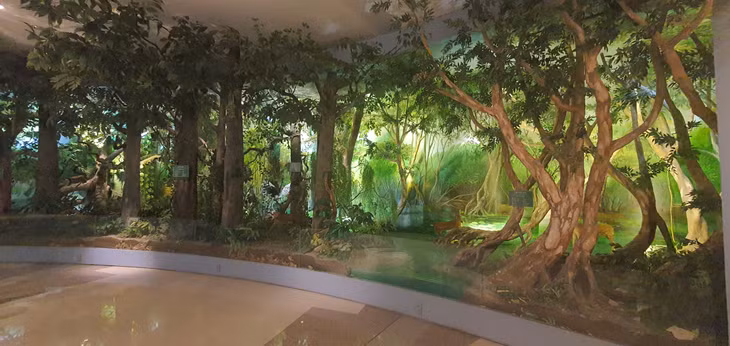 Phần trưng bày về thiên nhiên Bà Rịa- Vũng Tàu