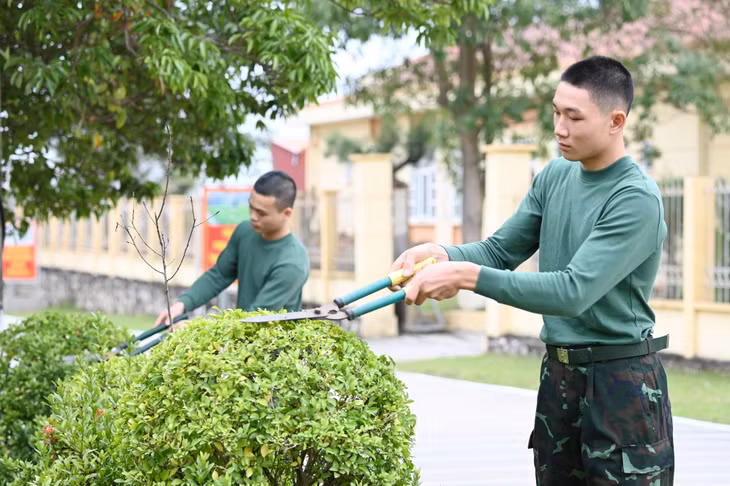 Chiến sĩ mới của Tiểu đoàn Huấn luyện chiến sĩ mới, Trung đoàn 244 (Bộ CHQS tỉnh) cắt tỉa cây xanh trong đơn vị.