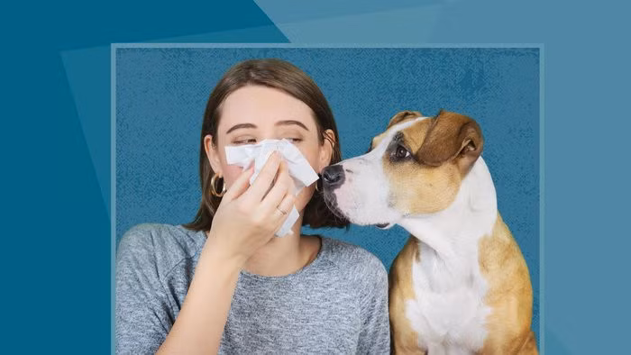 Tránh xa các tác nhân gây dị ứng và sử dụng thuốc là biện pháp điều trị và làm giảm triệu chứng dị ứng hiệu quả (Ảnh: Internet)