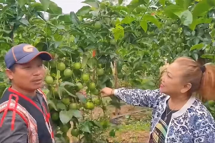 Cuộc sống của Siu Black ở Kon Tum.