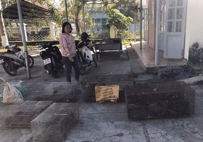 Đặng Thị Việt Hoài bên số động vật hoang dã được cơ quan Công an phát hiện, tạm giữ.