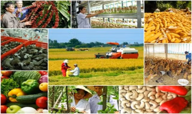 Huy động mọi nguồn lực xã hội cùng tham gia đầu tư, hỗ trợ xây dựng nông thôn mới