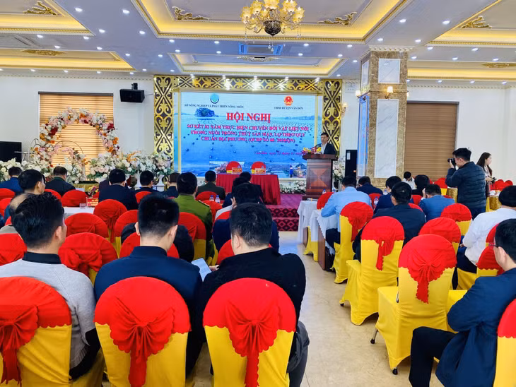 Quang cảnh cuộc họp.