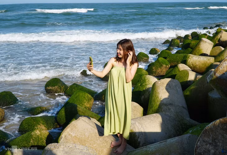 Mùa rêu bên kè chắn sóng sông Trà Khúc ảnh 5