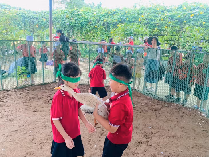 Du lịch trải nghiệm cho trẻ em sôi động trở lại ảnh 4