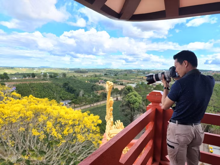 Cách thị trấn Di Linh chừng 30 km, TP Bảo Lộc cũng có nhiều cây phượng nở rộ dịp này. Nhiều nhiếp ảnh gia và du khách đến chiêm ngưỡng vẻ đẹp của phượng vàng ở Tu viện Bát Nhã, TP Bảo Lộc.