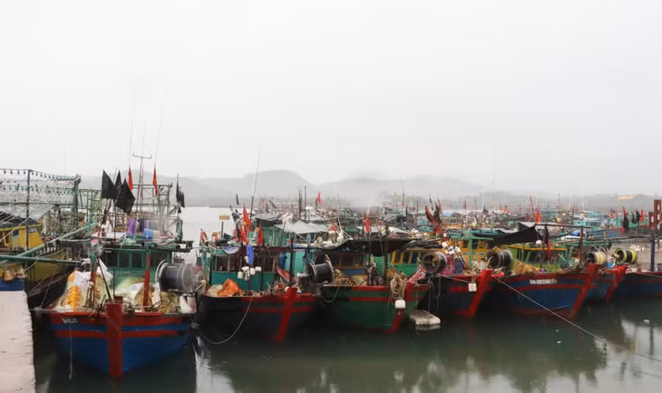 Tàu cá neo đậu tại Khu neo đậu tránh trú bão tàu thuyền nghề cá thôn Tiến Tới, xã Đường Hoa, huyện Hải Hà, chờ ra khơi đầu năm.