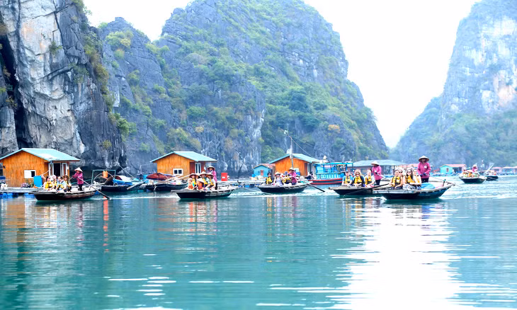 Tham quan khu làng chài NTTS là một trong những sản phẩm du lịch hấp dẫn du khách, đặc biệt là khách quốc tế. Ảnh: HTX Du lịch dịch vụ Vạn chài Hạ Long cung cấp