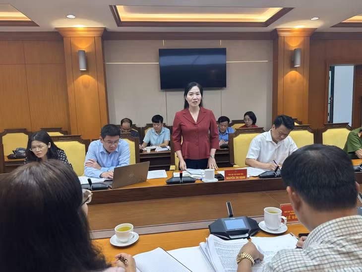 Đồng chí Nguyễn Thị Hạnh, Phó Chủ tịch UBND tỉnh phát biểu tại cuộc họp.