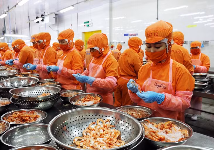 Chế biến thủy sản xuất khẩu.