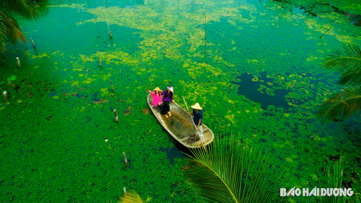Sông Đồng Mẩn đẹp mê mẩn vào mùa thu dưới những cây ấu, đem lại lợi nhuận sau vụ vải.