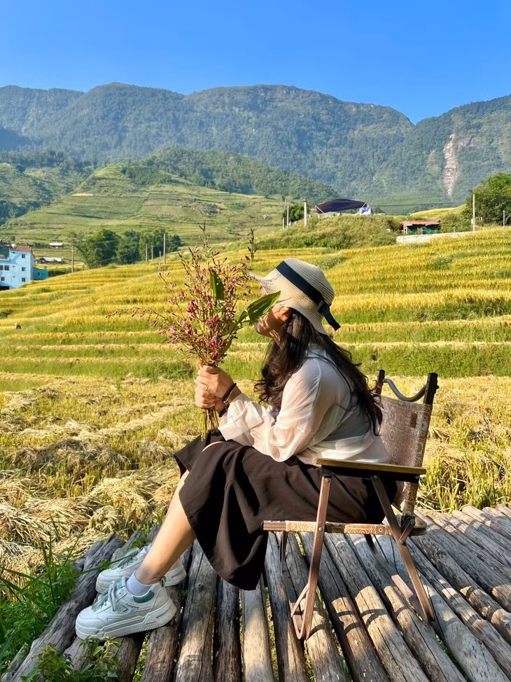 Du khách có thể ghé những quán cà phê, điểm cắm trại lưng chừng đồi hay giữa ruộng bậc thang để ngắm trọn mùa vàng Sa Pa. Một số địa chỉ tham khảo là Lá Dao, Lao Chải View, Hầu Thào, LoFi...