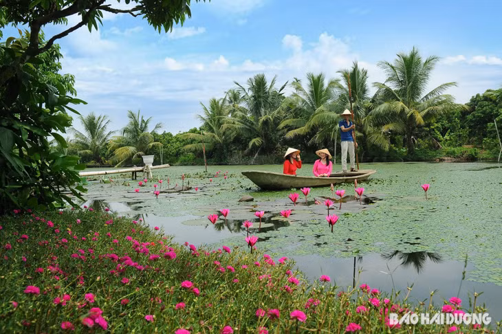 Bức tranh quê ở khu du lịch sinh Thái Đồng Mẩn.