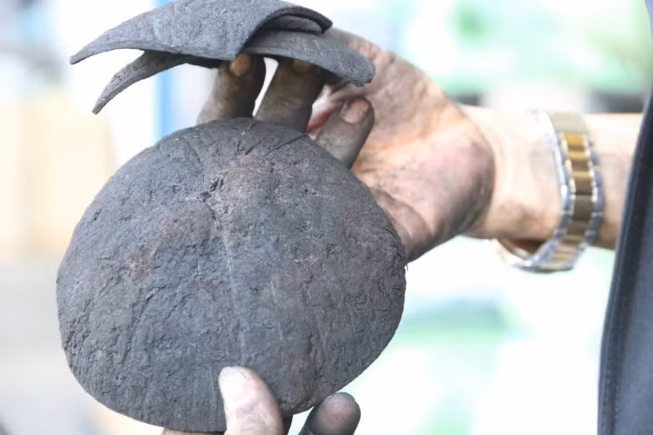 Gáo dừa - nguyên liệu thô có độ cứng và chứa hàm lượng cacbon cao sử dụng để sản xuất than hoạt tính.Ảnh: Đình Trọng