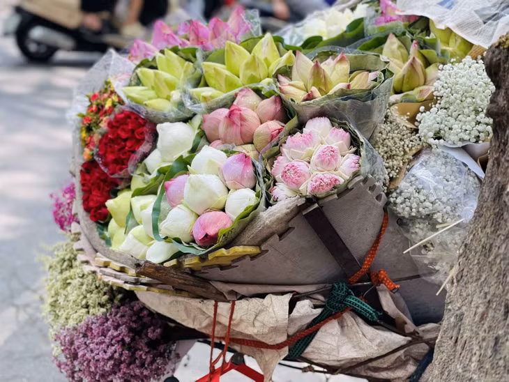 Đường Phan Đình Phùng với những chiếc xe chở đầy hoa trở thành một phần biểu tượng của mùa Thu Hà Nội. Ảnh: Hoàng Khánh Duy