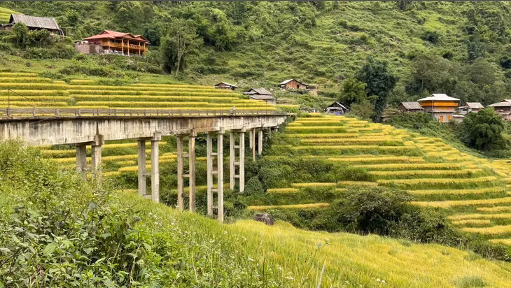 Lao Chải - Tả Van là hai bản lớn của huyện Sa Pa, Lào Cai, cách trung tâm thị xã từ 7 - 10 km tùy vị trí xuất phát. Đây là nơi cư trú của đồng bào dân tộc Mông, Dao Đỏ, Giáy...