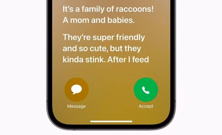 Live Voicemail: Đây là tính năng thư thoại hoàn toàn mới trên iOS 17. Tính năng này cho phép người dùng có thể chuyển cuộc gọi thành tin nhắn và được hiển thị trực tiếp ngay trên màn hình. Trong trường hợp không thể nghe điện thoại, người dùng vẫn có thể nắm bắt những thông tin quan trọng từ cuộc gọi đó.