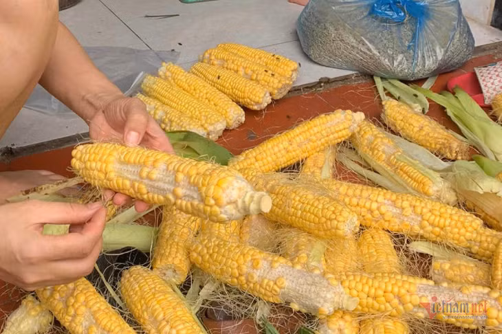 Ngô, lạc, đỗ... mốc tuyệt đối không ăn. Ảnh: Phương Thúy.