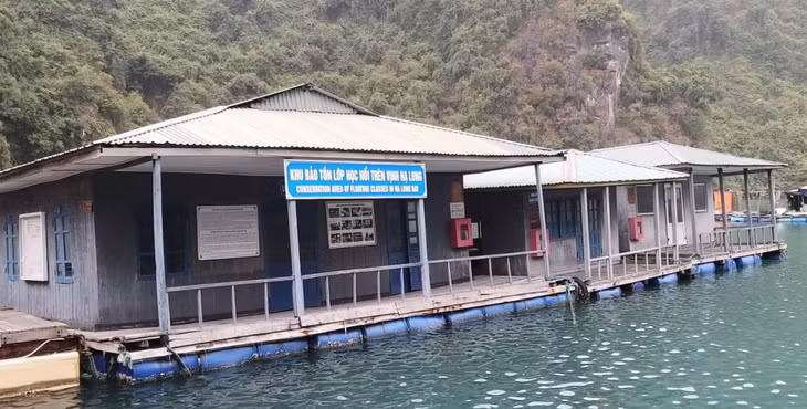 Khu nhà bè khi chưa bị nghiêng. Ảnh do đơn vị cung cấp