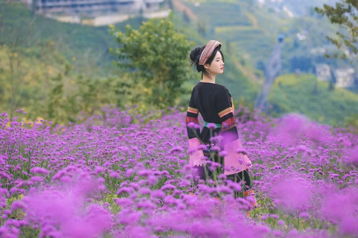 Chạm tay vào từng cánh hoa mỏng manh, hít hà hương núi rừng trong trẻo, ngắm nhìn bức tranh thiên nhiên tựa tranh vẽ.