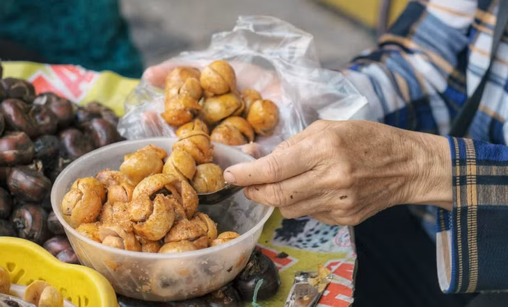 Những quả sấu chín vàng, thơm phức, vị chua ngọt… hấp dẫn du khách. Ảnh: Nguyễn Ngọc Tú