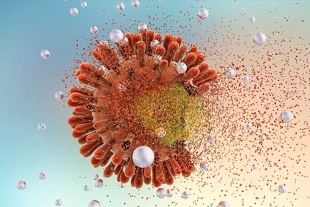 Bat dau thu nghiem lam sang vaccine ngua HIV tai My va Nam Phi hinh anh 1