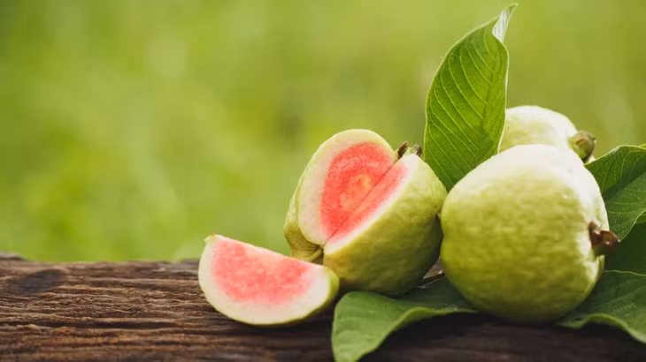Ổi là loại trái cây phổ biến ở Việt Nam. Ảnh: Shutterstock