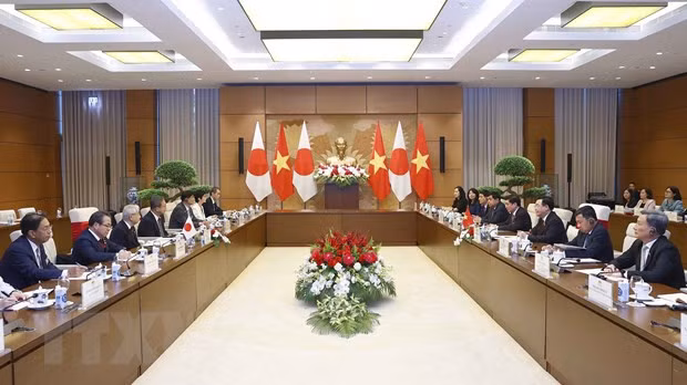 Cung co quan he huu nghi, hop tac tot dep giua Viet Nam va Nhat Ban hinh anh 2